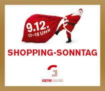 Werbung Goethe Galerie